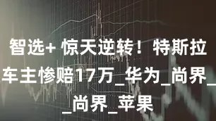 智选+ 惊天逆转！特斯拉维权车主惨赔17万_华为_尚界_苹果